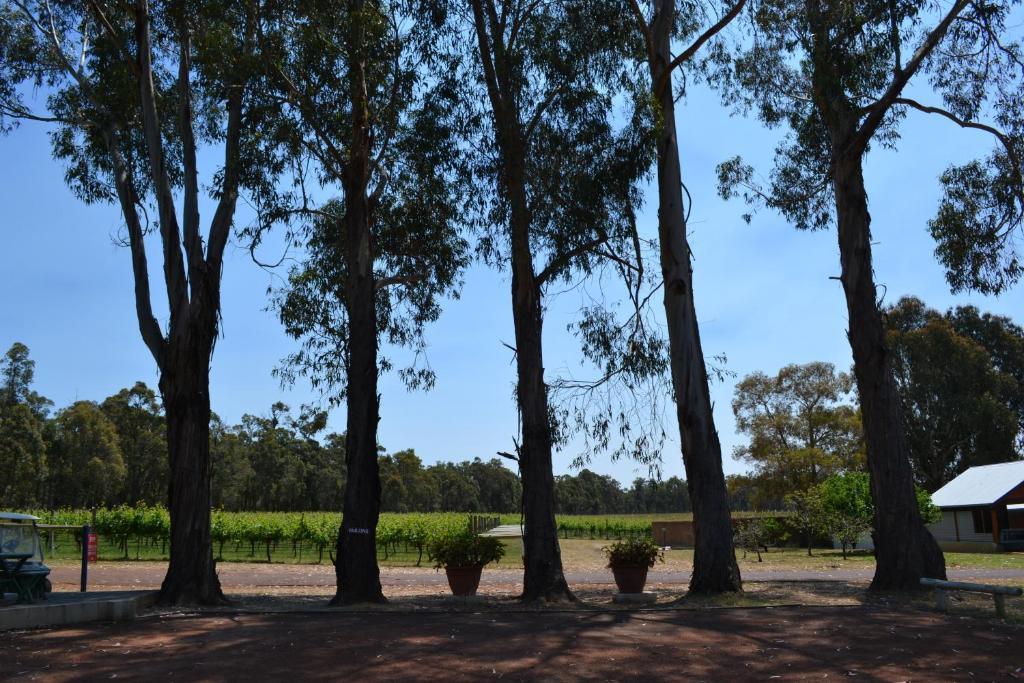 Island Brook Estate Winery And Chalets Margaret River Exterior photo